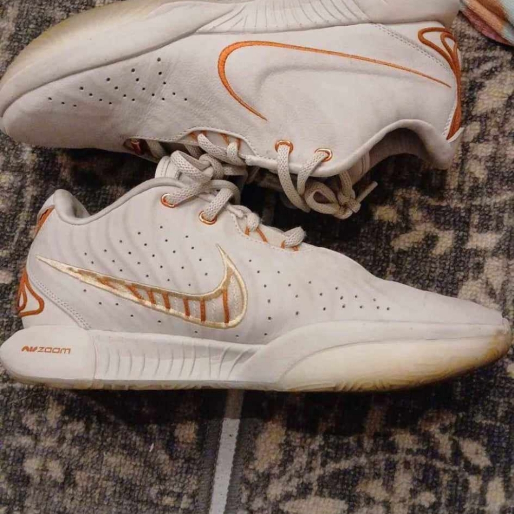 Lebron XX . Size 11